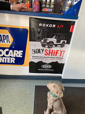 Puppy 2 | O'Shea Tire & Service Center